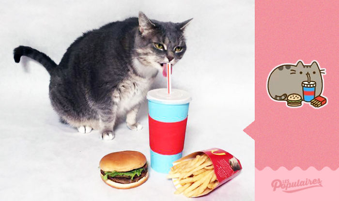 /storage/shares/uploads/files/fastfood-575d5d88e2180-png__700.jpg