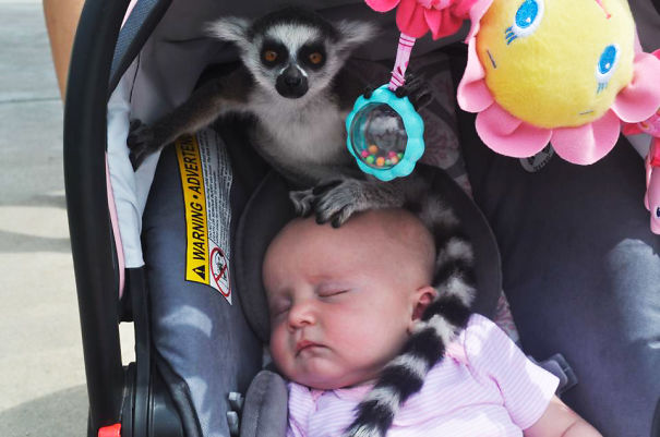 /storage/shares/uploads/files/funny-baby-parenting-moments-1-57fccdd56558a__605.jpg