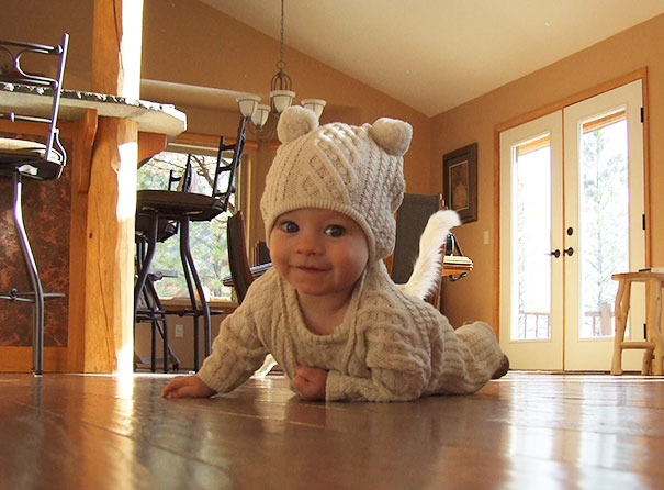 /storage/shares/uploads/files/funny-cat-photobombs-15-58e23da556d24__605.jpg