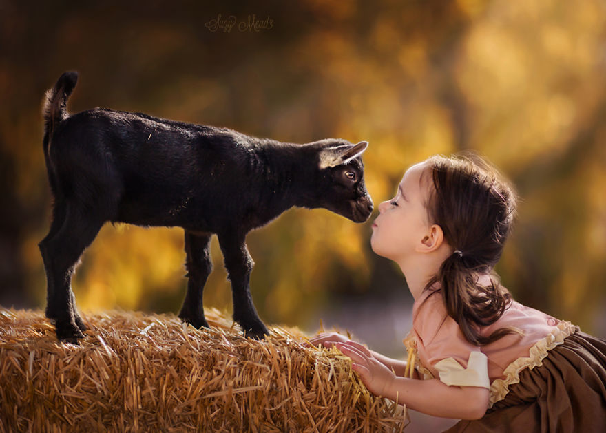 /storage/shares/uploads/files/goatkissfor500-57e0e9f8e7520__880.jpg