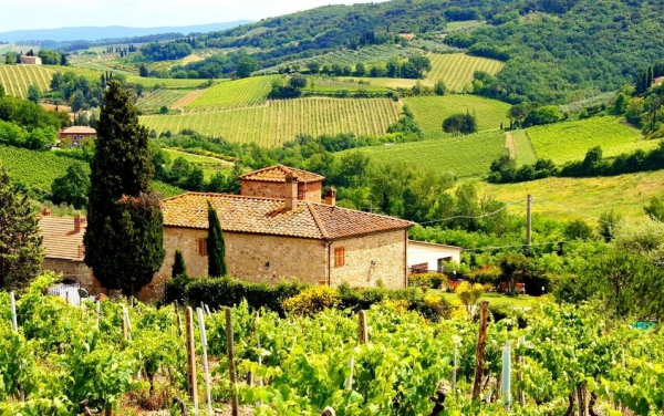 /storage/shares/uploads/files/grape-expectations-buying-a-vineyard-1503504588.jpg