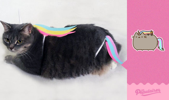 /storage/shares/uploads/files/licorne-575d5da58498e-png__700.jpg
