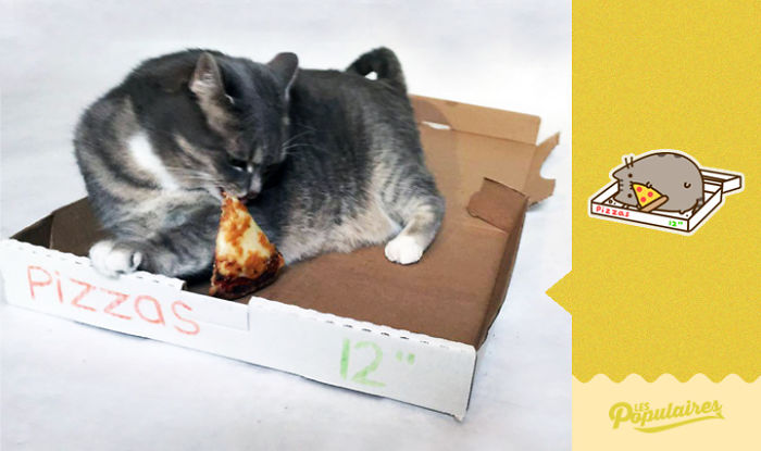 /storage/shares/uploads/files/pizza-575d5dd2f3d2e-png__700.jpg