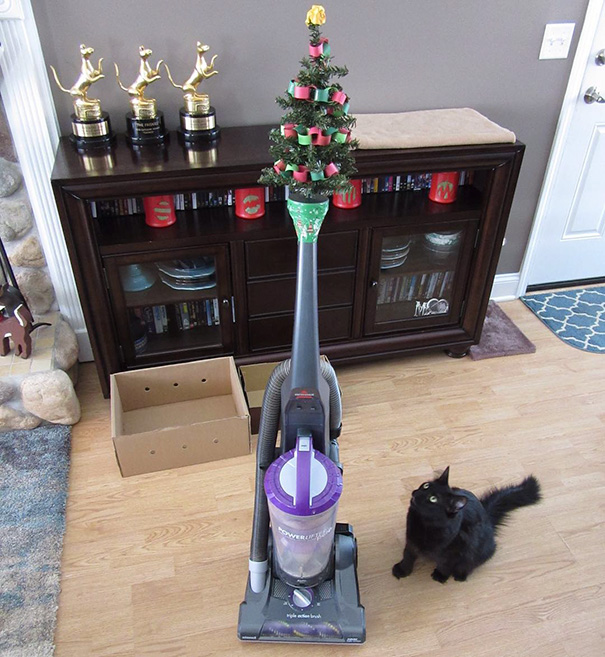 /storage/shares/uploads/files/protecting-christmas-tree-from-dogs-cats-pets-1-585a5c3dd4417__605.jpg