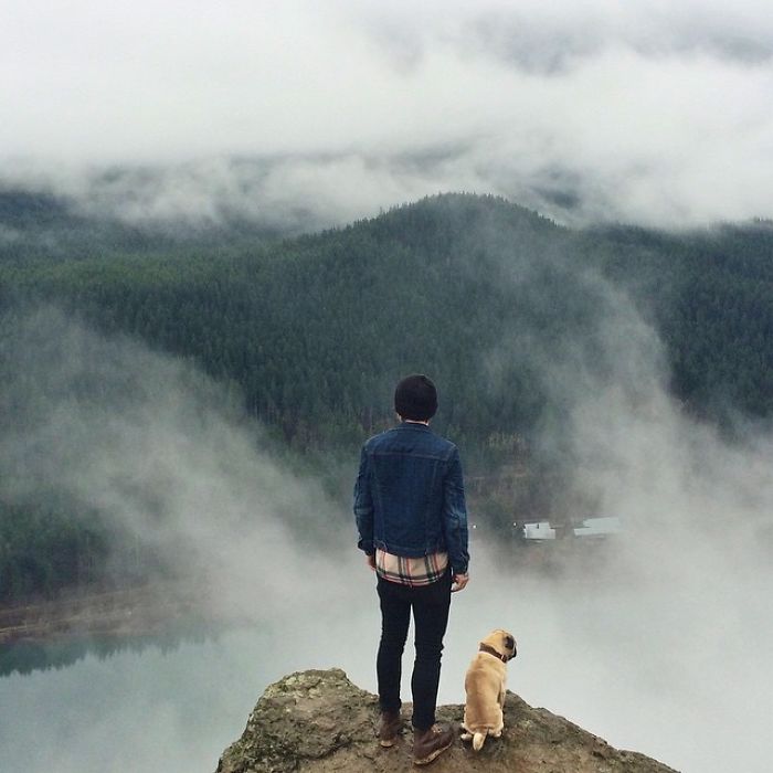 /storage/shares/uploads/files/pug-norm-adventures-jeremy-veach-2-5821a1aba84b5__700.jpg
