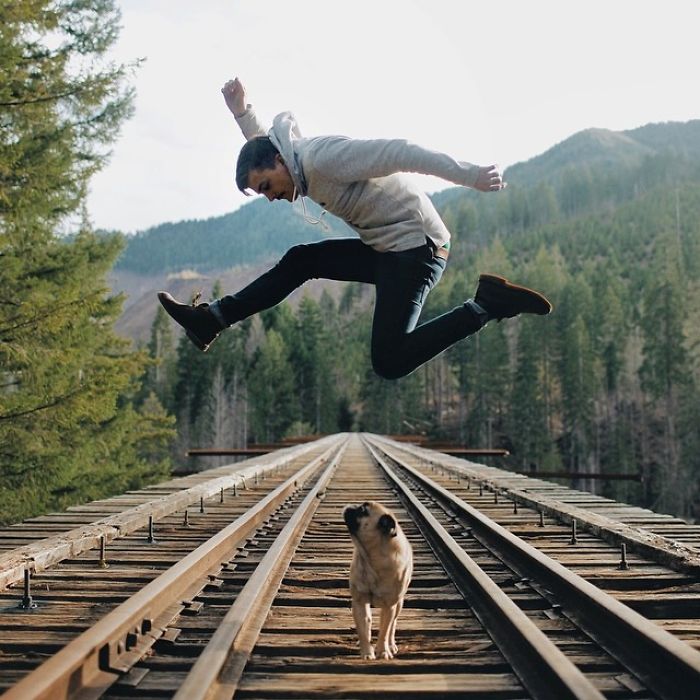 /storage/shares/uploads/files/pug-norm-adventures-jeremy-veach-90-5821a2974d124__700.jpg