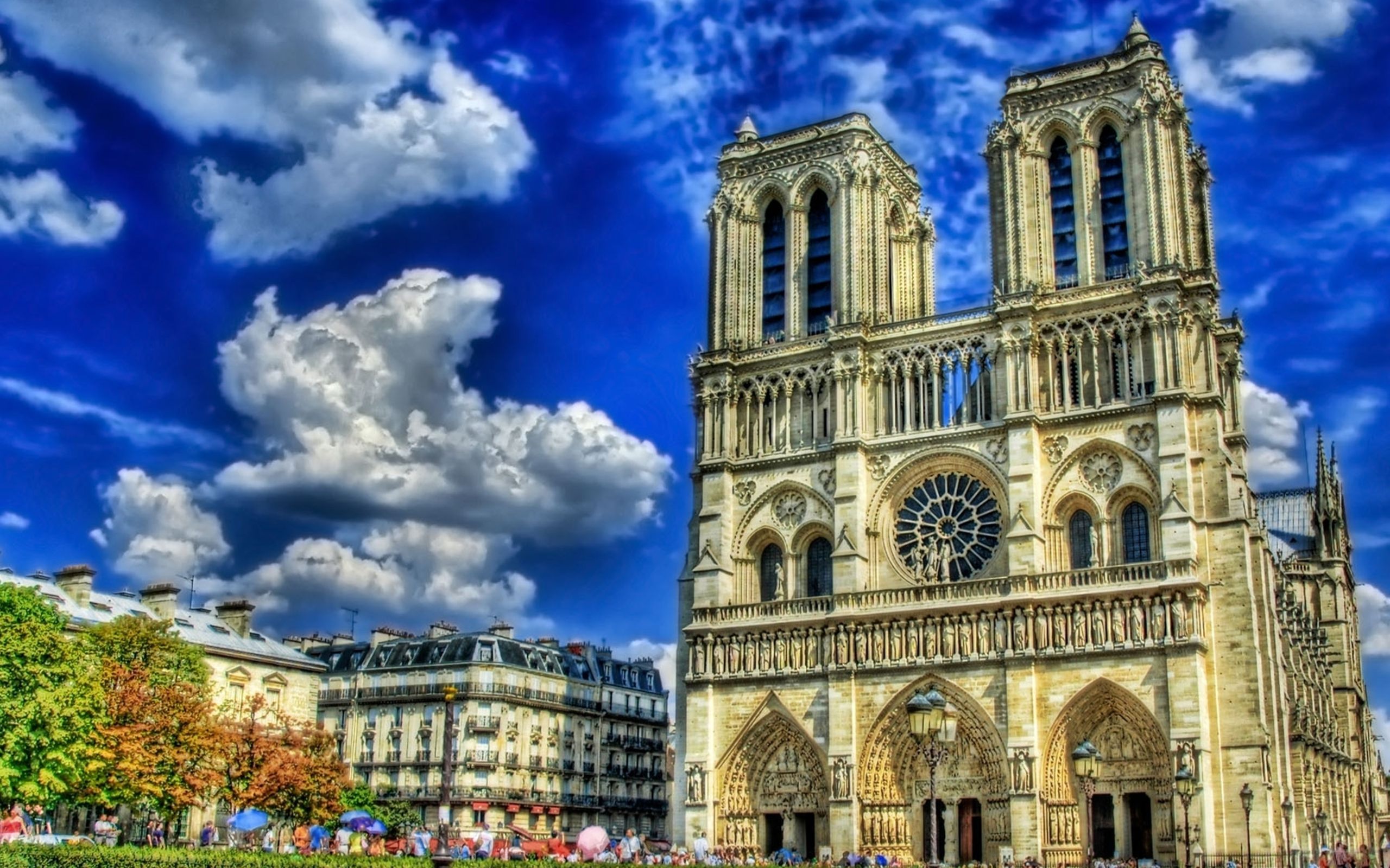 /storage/shares/uploads/files/rabstol_net_france_24.jpg