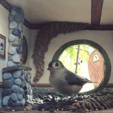 /storage/shares/uploads/files/tiny-bird-friends-homes-jada-fitch-01.gif
