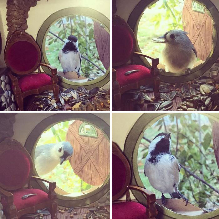 /storage/shares/uploads/files/tiny-bird-friends-homes-jada-fitch-10.jpg