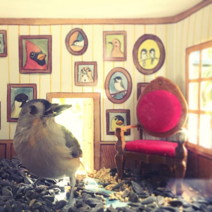 /storage/shares/uploads/files/tiny-bird-friends-homes-jada-fitch-11.jpg