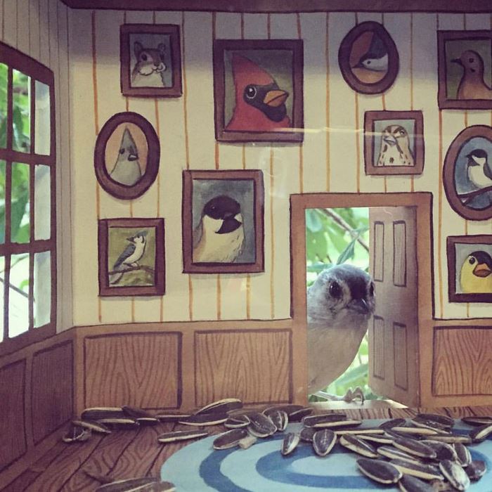 /storage/shares/uploads/files/tiny-bird-friends-homes-jada-fitch-3.jpg